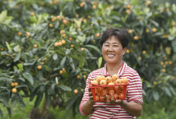 果物産業で農村振興　中国重慶市