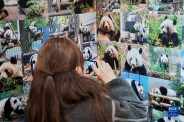 東京の百貨店・松坂屋上野店で、「920日香香（シャンシャン）写真展」が開幕し、パンダ写真家の高氏貴博さんが撮影したシャンシャンの写真が展示された。