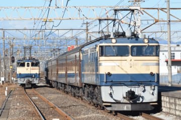 「Pトップ」こと「EF65 501」 (6263efさん 2021年11月28日撮影)