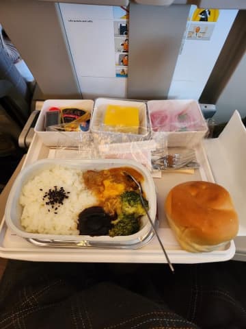 カリカリじゃない機内食