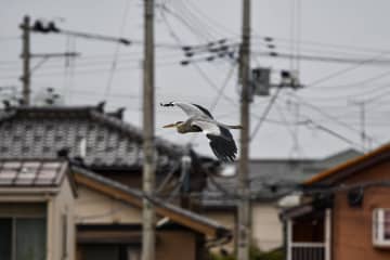 27日、日本華僑報網は「日本での田舎への移住は決して簡単なものではない」とする記事を掲載した。資料写真。