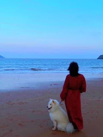 最近になり中国人女性が日本の島を「購入した」として注目を集めた。写真は中国で初めて無人島の使用権証明書が発行された寧波の旦門山島。