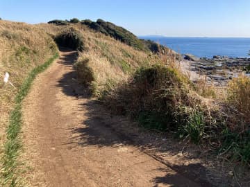 アスファルト舗装されるハイキングコース。南側には大海原が広がる＝三浦市・城ケ島