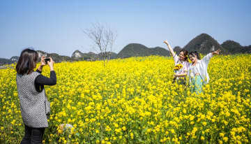 一面の菜の花畑が観光客を魅了　中国貴州省