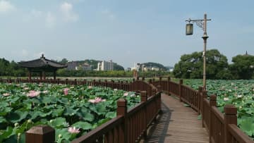 21日、韓国・東亜日報によると、3年ぶりに日本の高校生が修学旅行で韓国を訪れた。写真は全州市