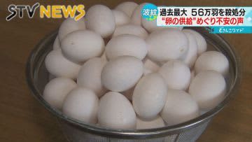 北海道土産の「白い恋人」卵不足で生産減少　不安募る飲食店　鳥インフル殺処分続く