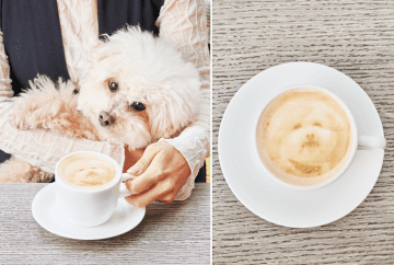 愛犬の写真をプリント（Cafe & Dining ZelkovA提供）