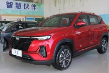 中国ブランド乗用車の市場シェアが上昇し続けている。2022年の累計販売台数は前年比22．8％増の1176万6000台だった。