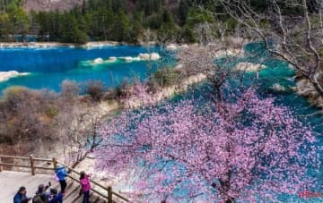 4月もまもなく中旬となるこの時期、多くの人の思いはすでに4月29日から5月3日までのメーデー5連休に向いており、旅行の人気が高まっている。