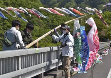 竜神大吊橋周辺でこいのぼりの設置作業を行う関係者=常陸太田市天下野町