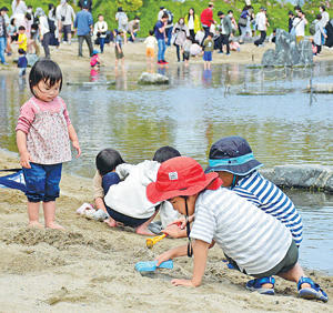 砂浜に埋められたタカラガイを探す子どもたち