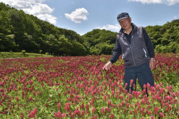 真っ赤な花畑で、「地域の元気をアピールしたい」と話す会沢孝一さん=常陸太田市小妻町