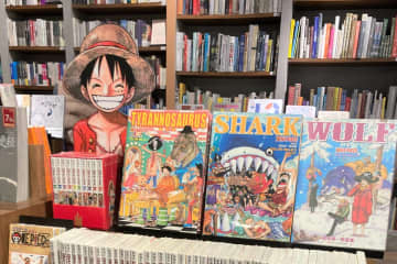 台湾メディアの民視新聞網は30日、日本の人気アニメ「ONE PEACE（ワンピース）」の実写版ドラマのゴーイング・メリー号が公開され、ネットユーザーらに衝撃を与えていると報じた。