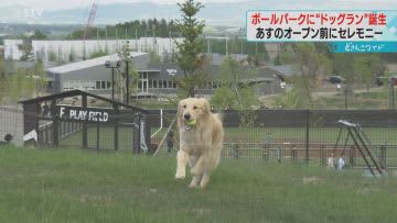 日本ハムの加藤貴之投手も体験　ボールパークにあす「ドッグラン」オープン　北海道・北広島市