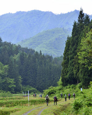 尾白山周辺で自然散策を楽しむハイカーたち