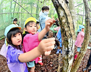 ムシムシランドでカブトムシに触れる子どもら。被災12市町村が連携し、昆虫を核にした周遊観光に取り組む