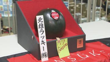 １玉６０万円で落札“でんすけすいか”初競り過去２番目の高値　北海道当麻町