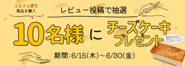 レビュー投稿キャンペーン