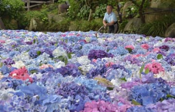 雨引観音紫陽花プロジェクトの「水中華」と準備を進めるメンバー=桜川市本木