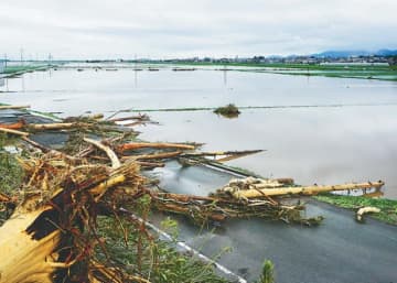 木山川の氾濫で濁流が流れ込んだ水田（３日午後１時、熊本県益城町で＝萩平正寿写す）