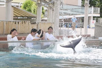 横浜・八景島シーパラダイスでは人気ゲームとコラボしたイルカショーなどを行う（同施設提供）