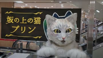 アルバイト猫ミクちゃん（画像提供：源田晃一氏）