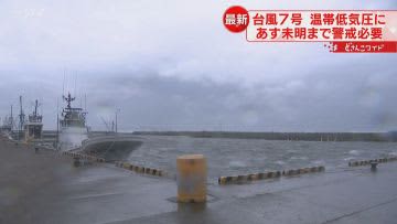 海が荒れ鮮魚が消えた市場　強風で倒木被害も　台風７号は温帯低気圧に　北海道