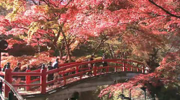 【資料】紅葉の人気スポットとして有名な群馬・渋川市の河鹿橋