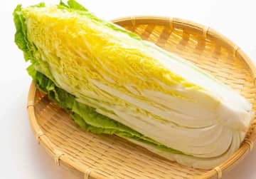白菜のお鍋が欲しくなる季節！（bj_sozai/adobe.stock.com）