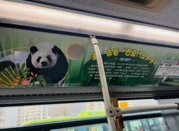 北京の公共バス「347」系統に最近、パンダをテーマにしたバスが投入された。