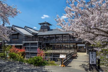 五十鈴川桜まつり