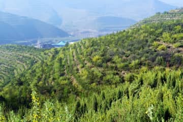 中国国家林草局は22日、中国は今年も引き続き、国土緑化を大規模に展開し、緑化面積1億ムー達成を目指すことを明らかにした。