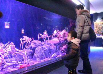 「深海生物まつり」を楽しむ親子連れ＝6日、横浜・八景島シーパラダイス