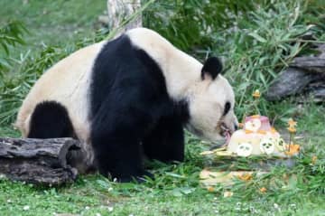 スペインのマドリード動物園で22日、ジャイアントパンダの「氷星」と「花嘴巴」一家5頭の歓送会が開かれた。