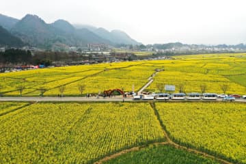 農業・観光の融合で農村振興を推進　中国貴州省貴定県