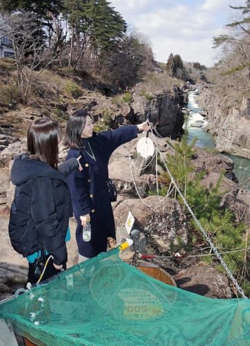 厳美渓の対岸からワイヤにつるされて届けられる団子の仕組みを見て喜ぶ行楽客＝１９日午前１０時３０分、一関市厳美町