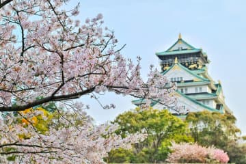 華字メディアの日本華僑報は19日、「日本人はなぜ桜が好きなのか？」との文章を掲載した。