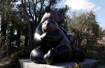 フランス中部サンテニャンシュルシェールのボーバル動物園で誕生し、昨年7月に中国に返還されたパンダ「圓夢」の巨大な銅のモニュメントがこのほど、同動物園でお披露目された。