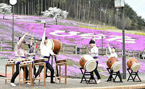 芝桜をバックに和太鼓を披露する団体