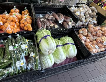 30日、極目新聞は、中国でしばしば廉価の象徴とされる白菜について、物価の上昇が続く日本で価格が一時期急騰したと報じた。