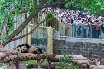 動物園でじっくり遊ぶ「zoo walk」が中国の若者の間で人気になっている。