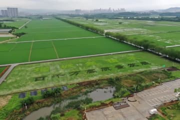 広東省広州市では昨年6月に低温保存された「凍眠ライチ」が販売されている。写真は増城区絲苗米現代農業産業パーク。