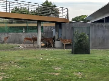 上海の鉄鋼メーカー・宝山鋼鉄の製鉄所内には動物園がある。