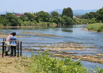 水位が低下し出現したイギリス海岸