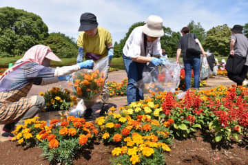 県植物園の一時休園を前に、来園者にプレゼントされた花々=那珂市戸