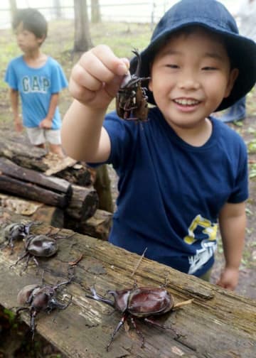 カブトムシに触れて喜ぶ子ども