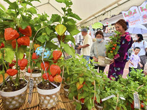 市民らでにぎわった夏の風物詩「ほおずき市」＝10日午後、会津若松市