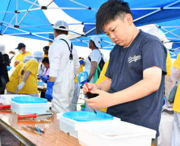 ウニの身を殻から取り出す来場者