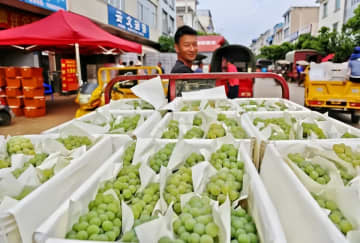 中国の今年上半期のGDPは5．0％増でした。