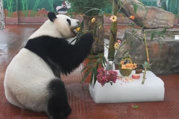 高温が続く中、広東省広州市の広州動物園は動物たちが夏を涼しく過ごせるようサポートしている。